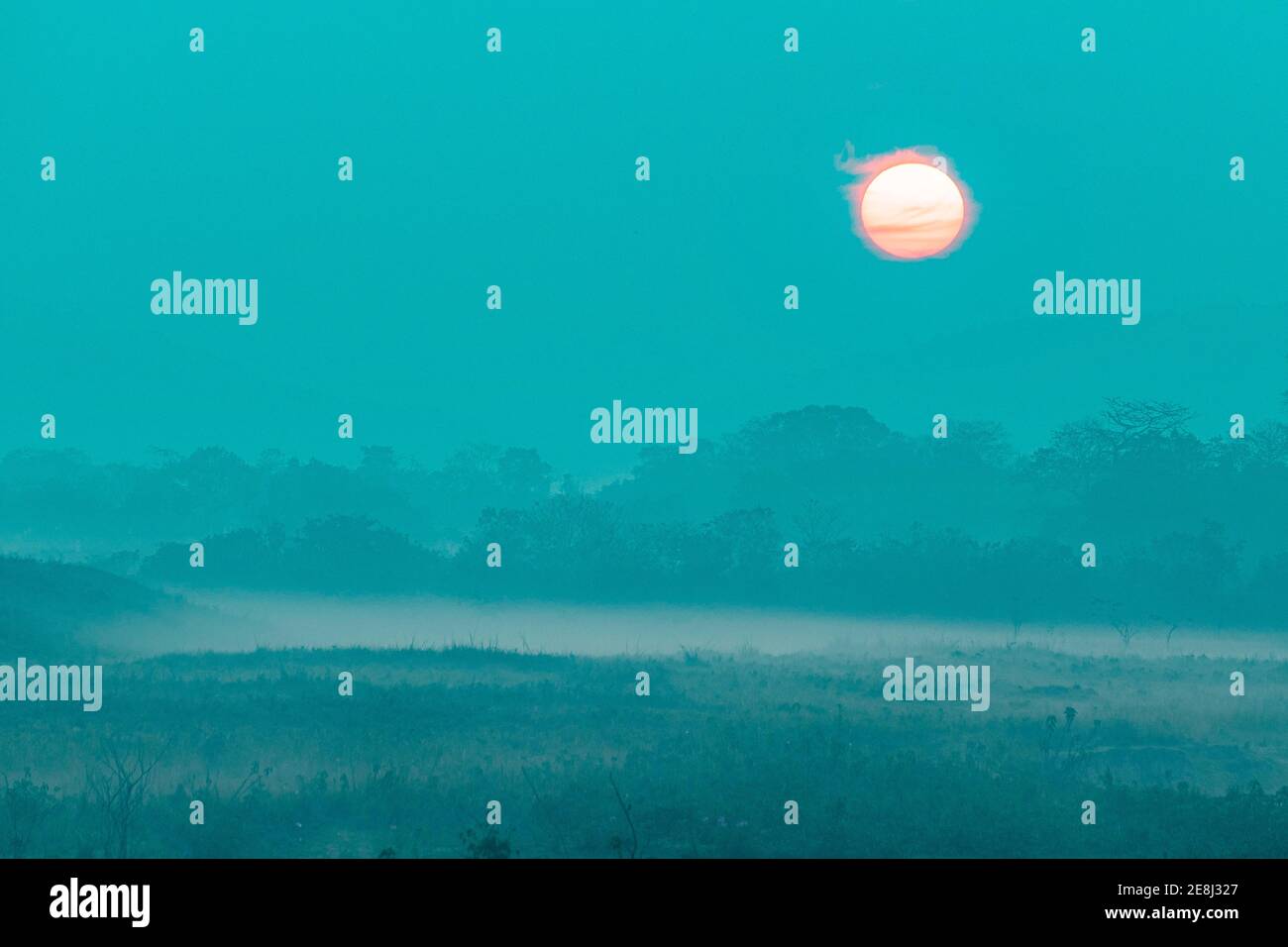 Very hazy sunrise over the Unesco world heritage site, Kaziranga National Park, Assam, India Stock Photo