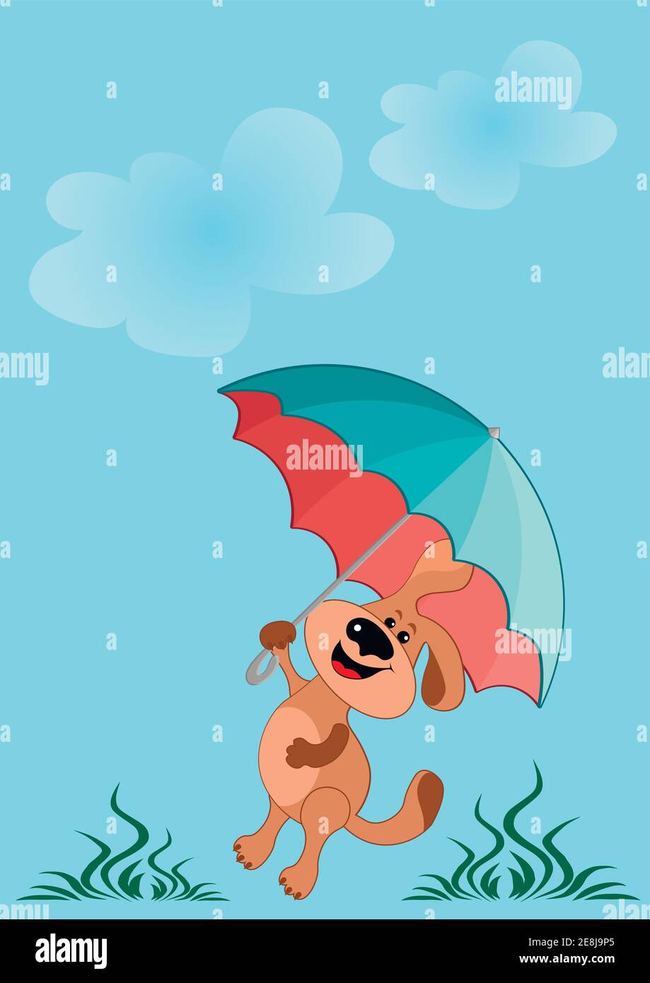 Funny dog walks with a colored umbrella in the rain. Walking, rest