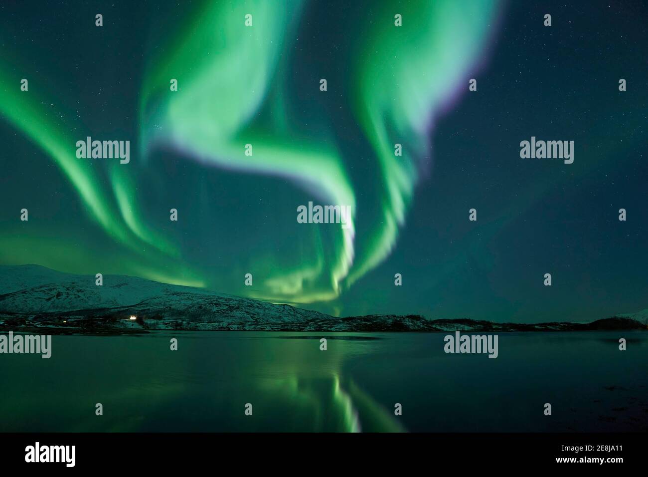 Aurora borealis with water reflection in fjord, Rorvika, near Tromso ...