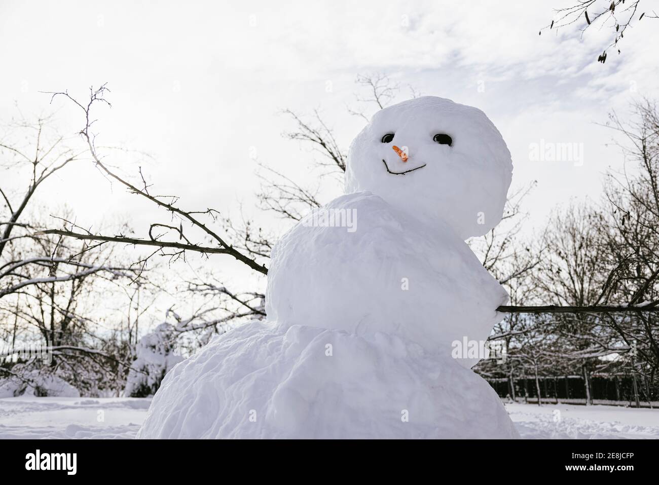 Snowman on white land against dry trees under cloudy sky in town in cold weather Stock Photo