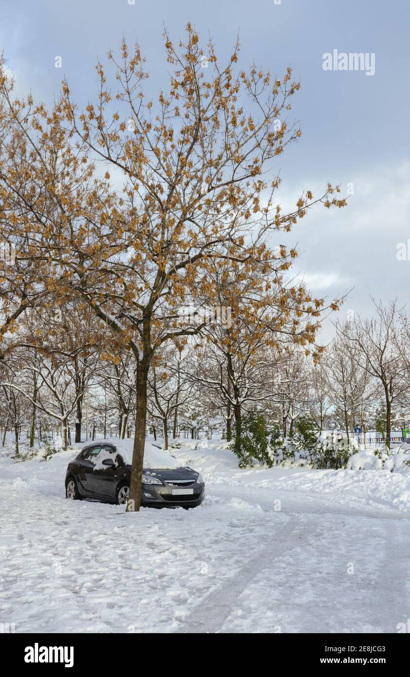 Automobile parked on white roadway against empty urban park under cloudy sky in winter Stock Photo