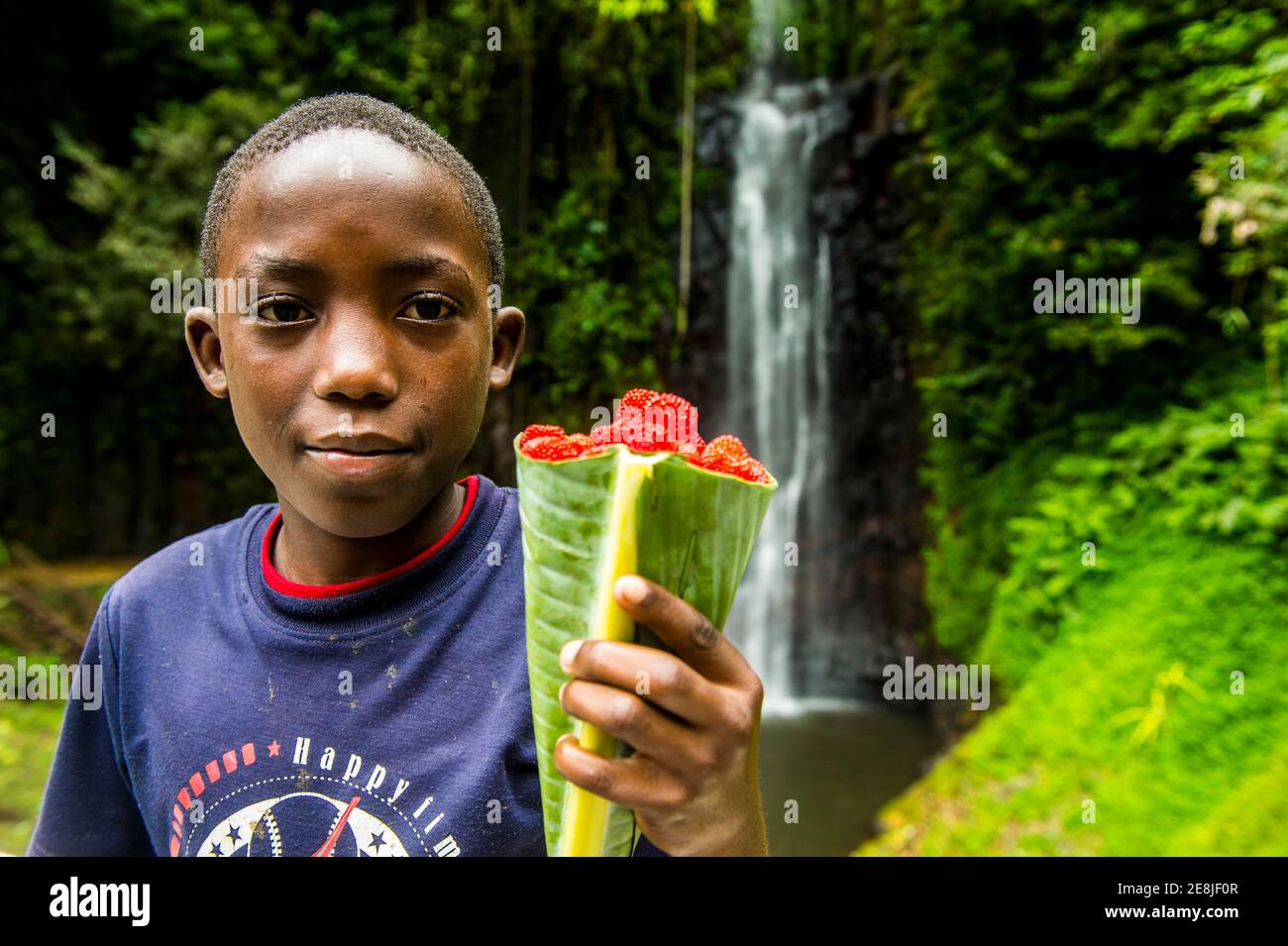 Boy selliing wild rasberrys before the waterfall of Sao Nicolau in the jungle of Sao Tome, Sao Tome and Principe, Atlantic ocean Stock Photo