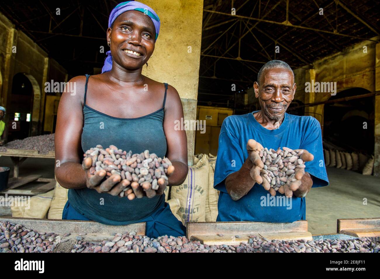 Couple holding cocoa beans in their hands, Cocoa plantation Roca Aguaize, East coast of Sao Tome, Sao Tome and Principe, Atlantic Ocean Stock Photo