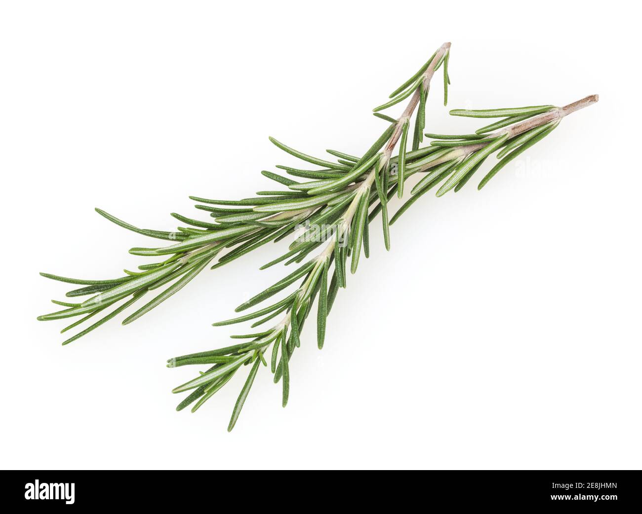White rosemary hires stock photography and images Alamy