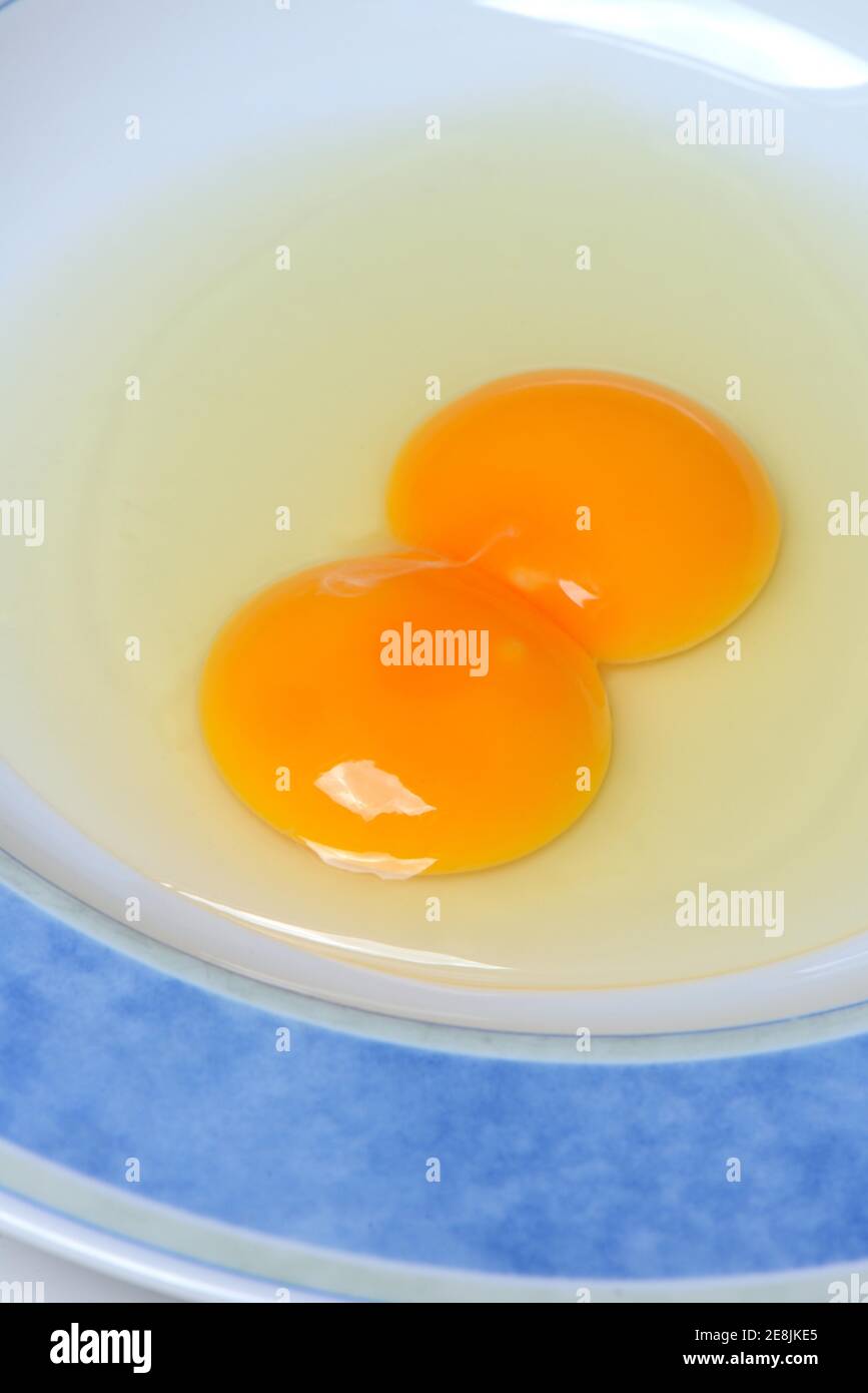 Hen's egg with double yolk Stock Photo Alamy