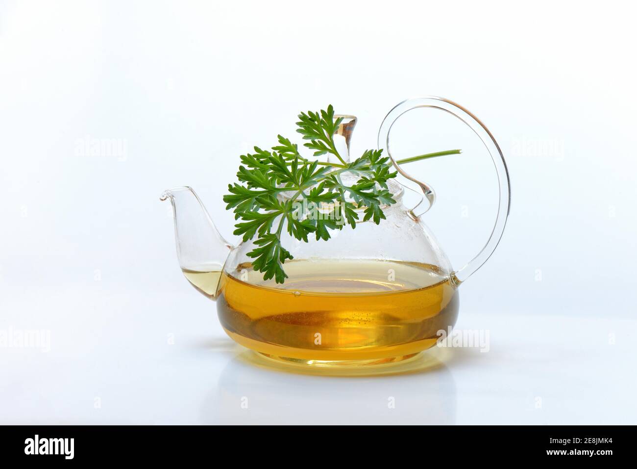 Wormwood tea in teapot and wormwood herb, Artemisia absinthum Stock ...