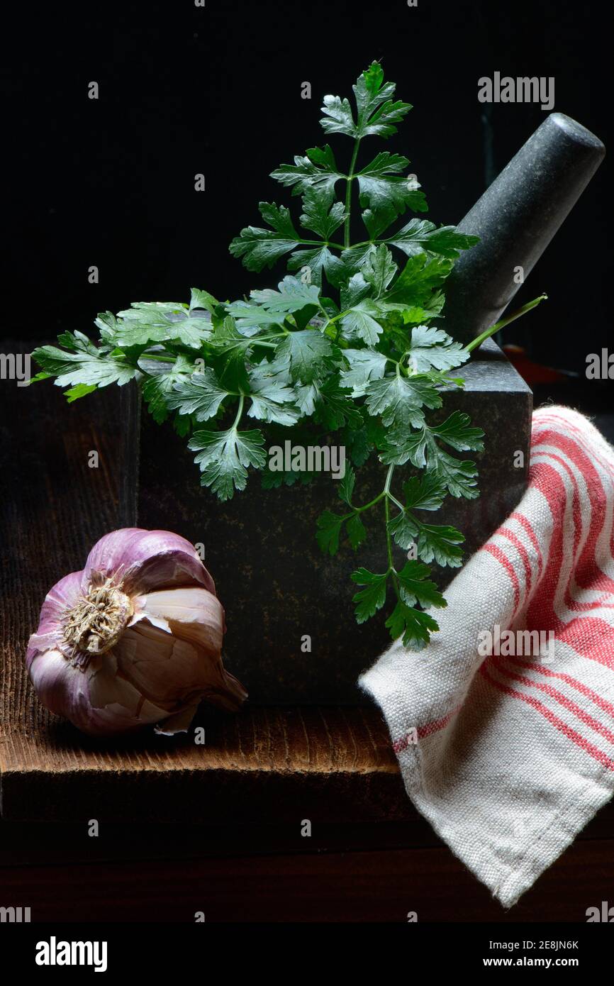 Smooth parsley in grated shell and garlic bulb, Petroselinum crispum, Allium sativum Stock Photo