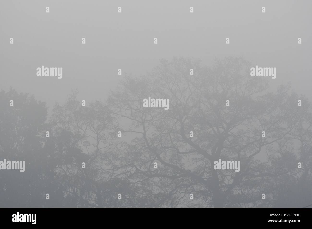 British foggy weather hires stock photography and images Alamy