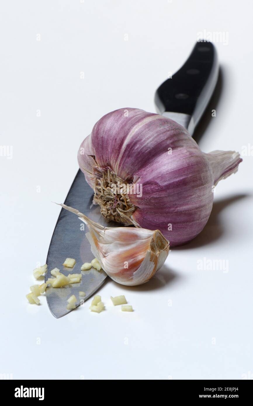 Garlic bulb and cloves of garlic on knife, Allium sativum Stock Photo
