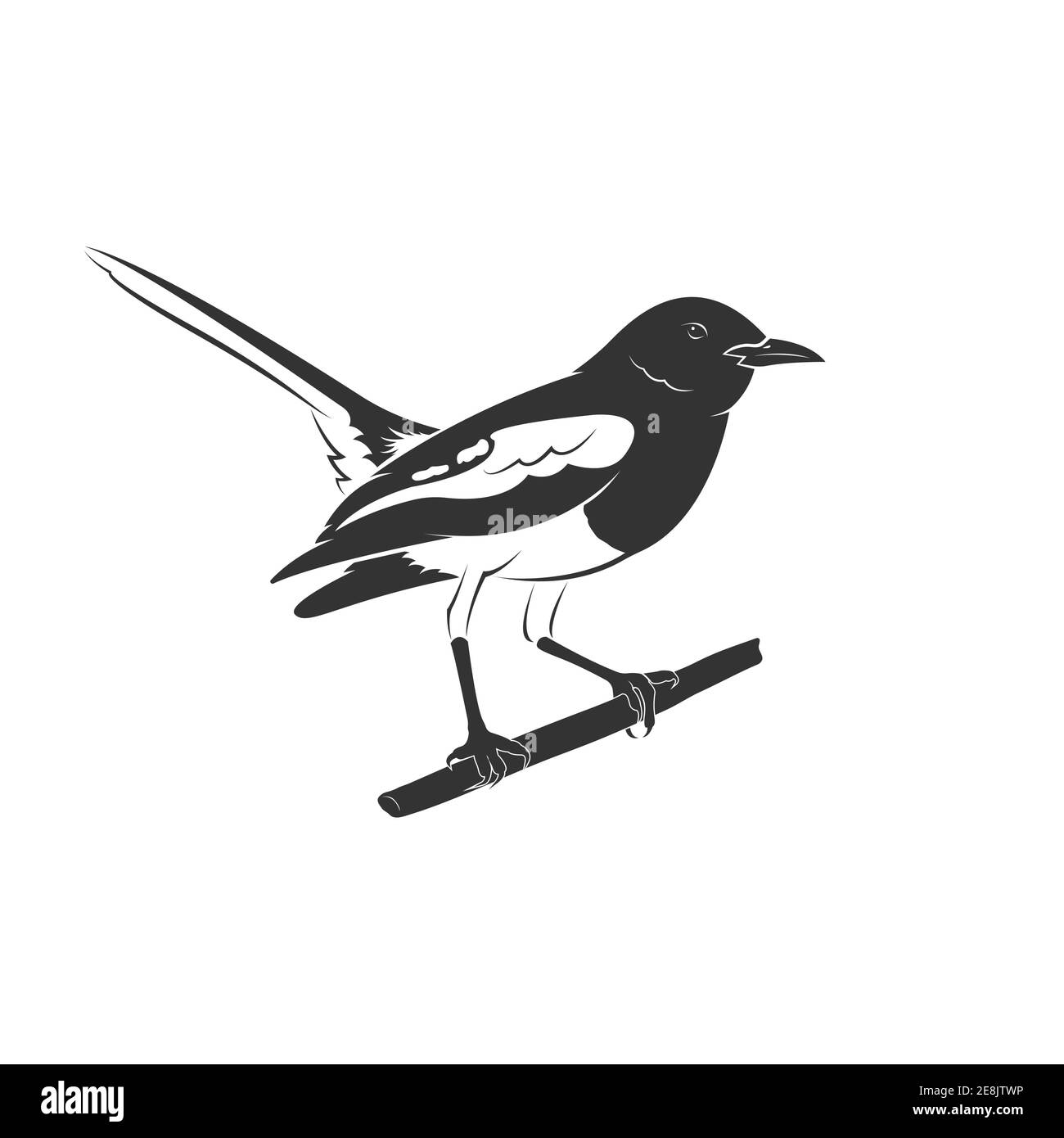 File:Black and white line art drawing of bird body.jpg - Wikimedia Commons