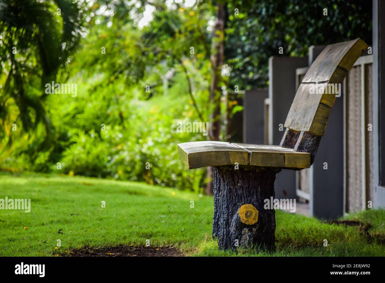 Wooden Garden bench in the garden on the lawn during day with green blurry background. Stock Photo