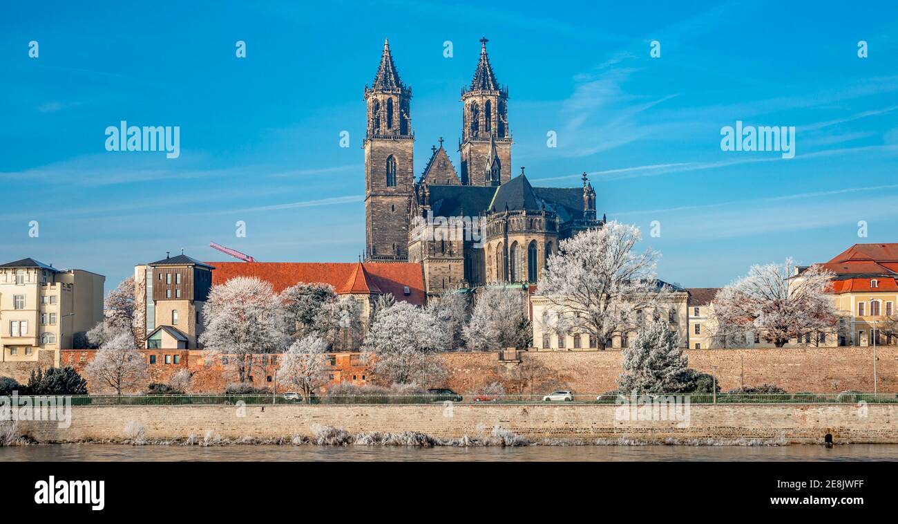 Magdeburg historical downtown in Winter with icy trees and blue sky at