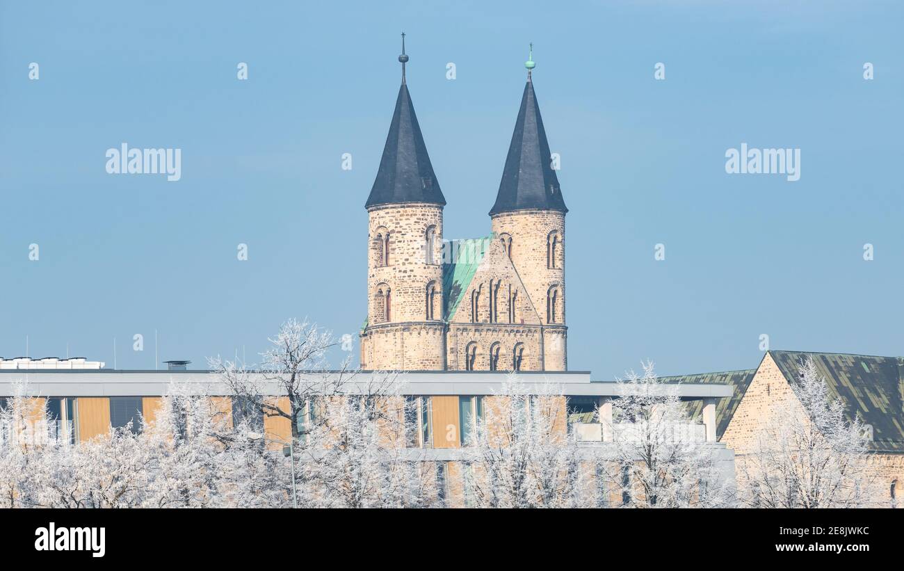 Magdeburg historical downtown in Winter with icy trees and blue sky at