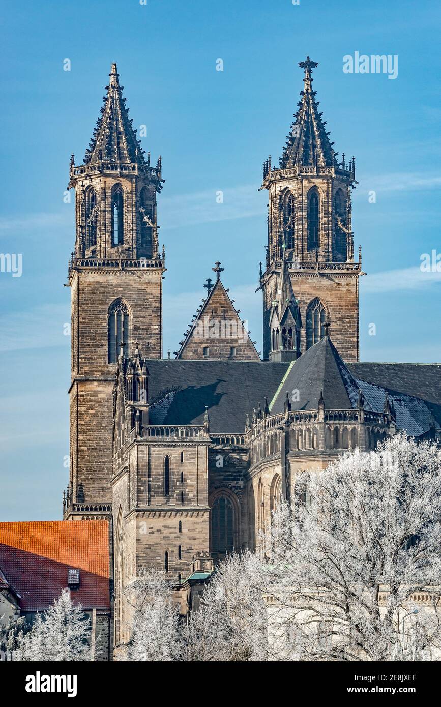 Magdeburg historical downtown in Winter with icy trees and blue sky at
