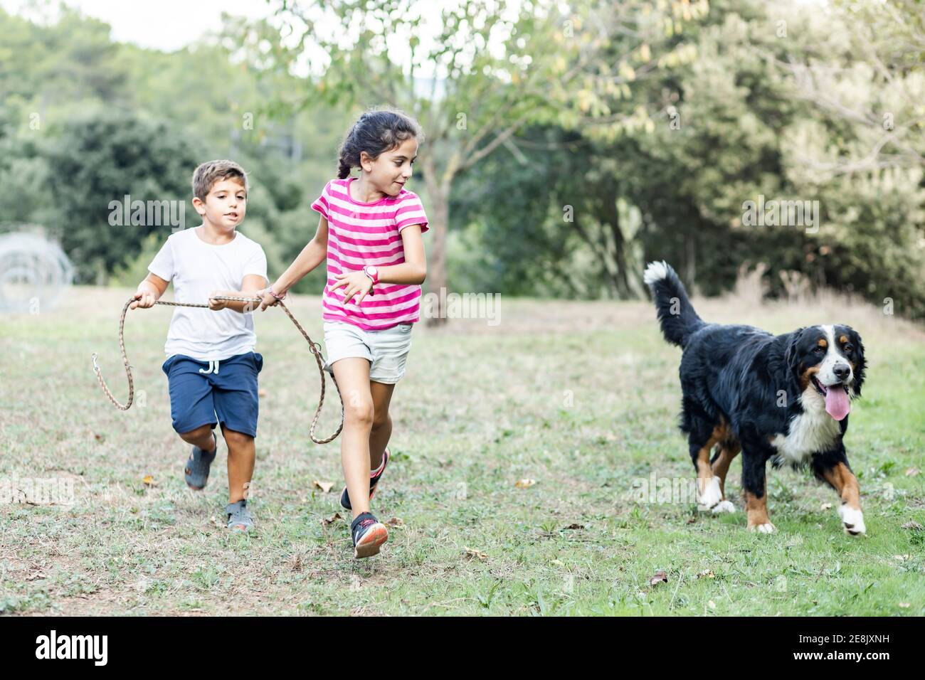 Two kids running and playing with a Mountain Dog Stock Photo