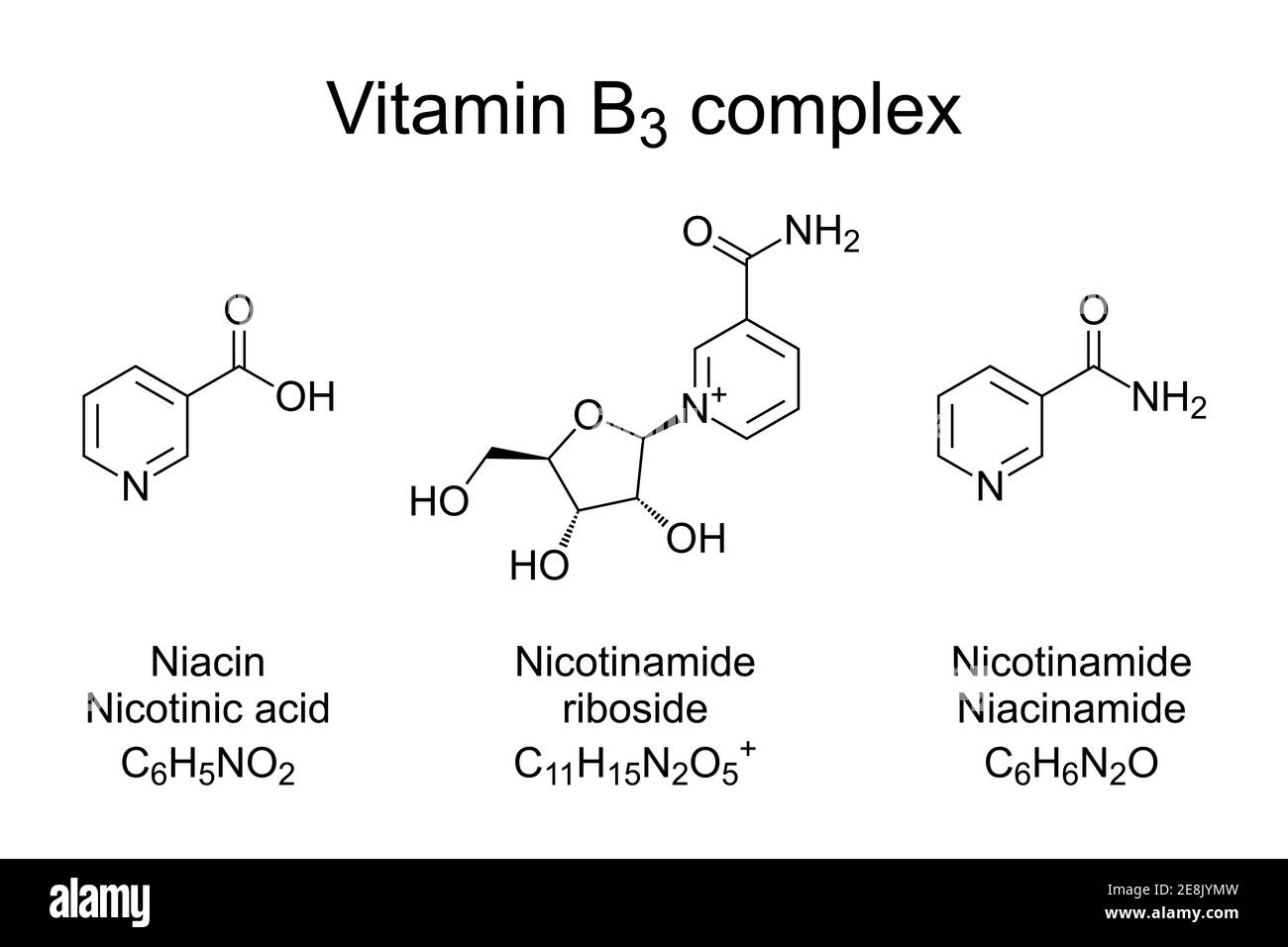 Vitamin B3 complex, chemical formulas. Nicotinamide, niacin and nicotinamide riboside, the three vitamers of the vitamin B3. Stock Photo