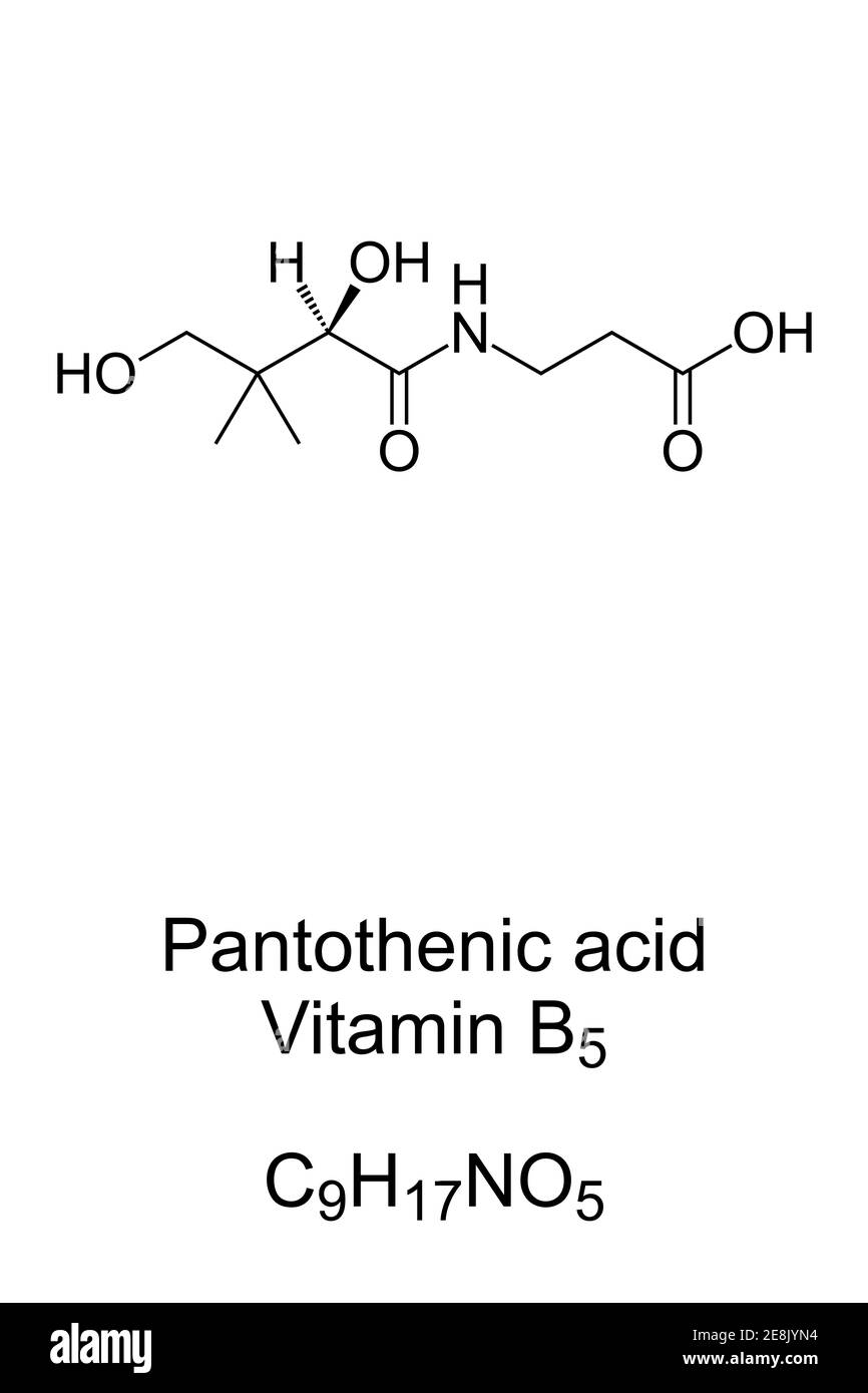 Pantothenic acid, vitamin B5, chemical formula and skeletal structure. An essential nutrient to synthesize coenzyme A. Stock Photo