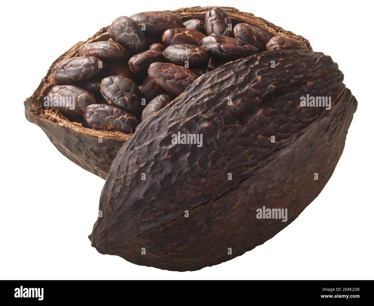 Halved cocoa pod with whole fermented cacao beans (Theobroma cacao fruit w seeds) isolated Stock Photo