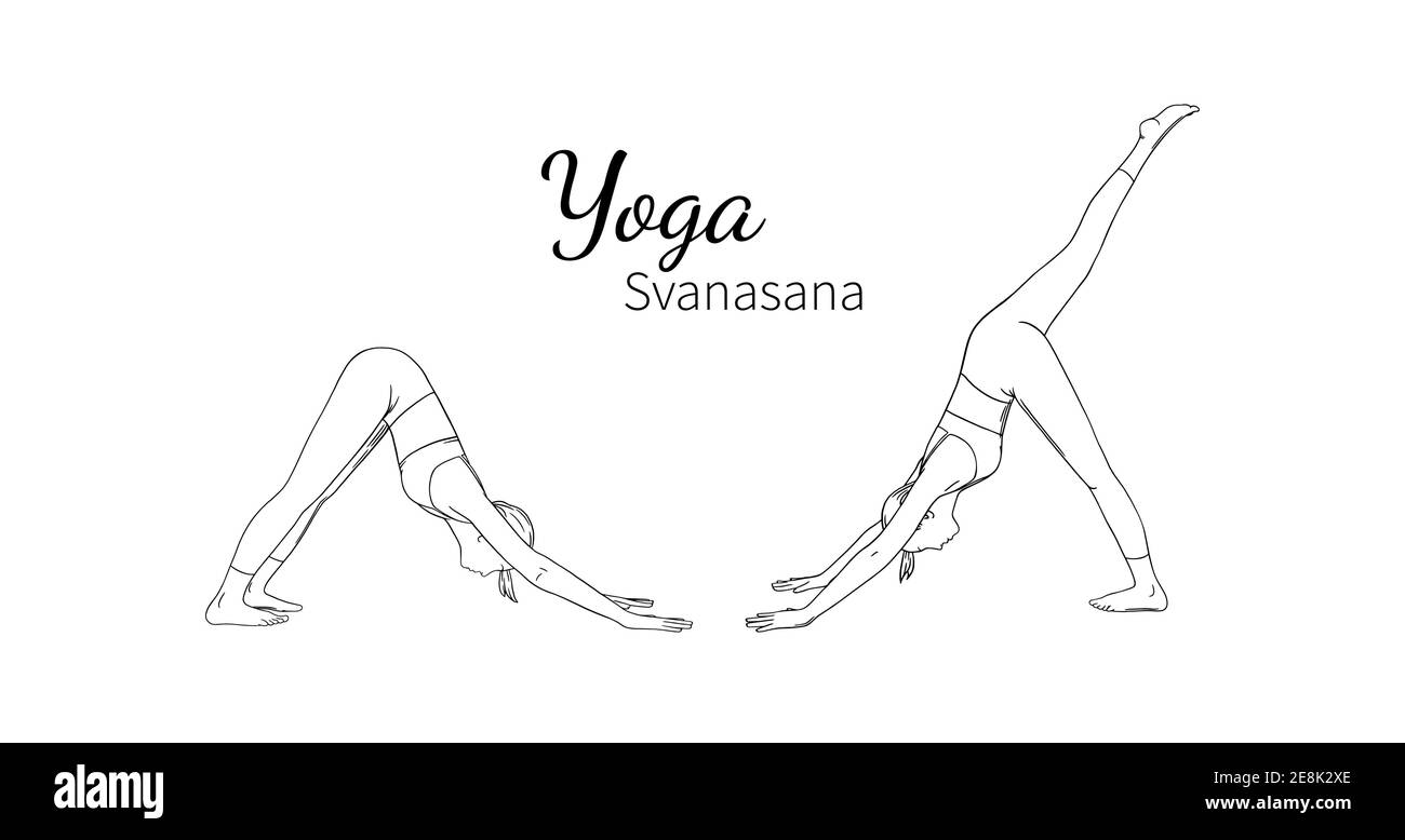 yoga downward facing dog poses or svanasana female yoga harmony sketch vector illustration isolated on white background 2E8K2XE