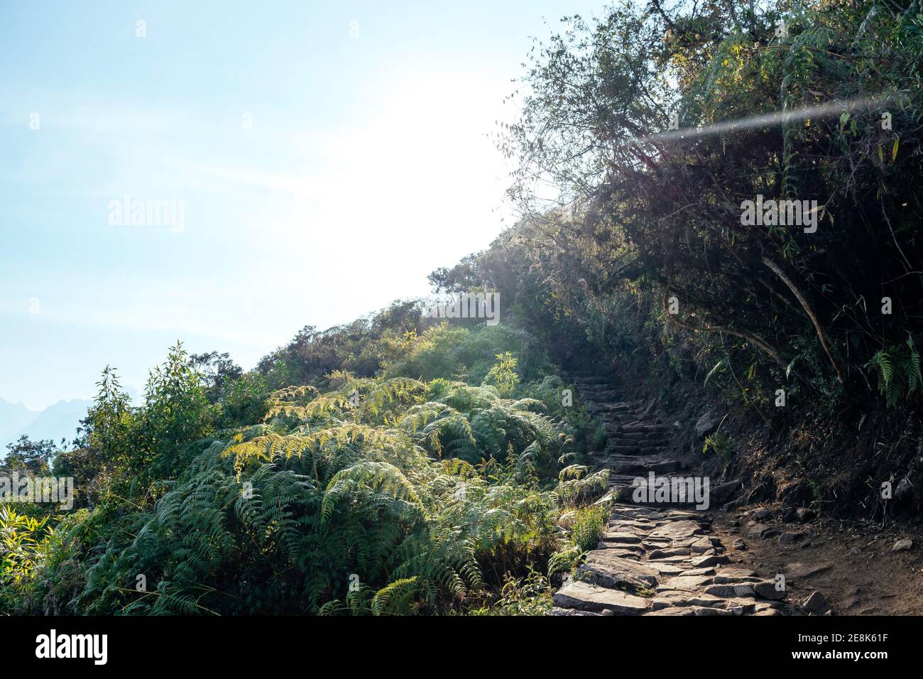 Steps and stone paths on the salkantay trail, alternative path to Machu Picchu Stock Photo