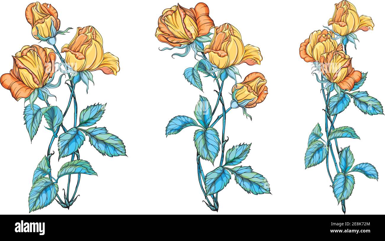 Bouquets beautiful roses Stock Vector Images - Alamy