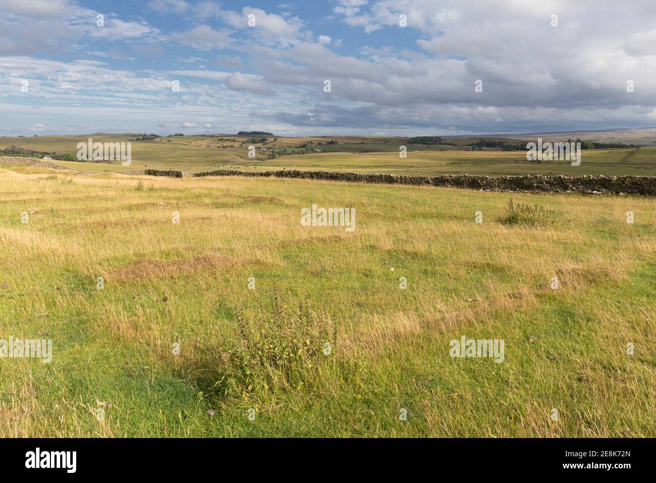 at-aesica-great-chesters-roman-fort-on-hadrian-s-wall-the-outlines-of