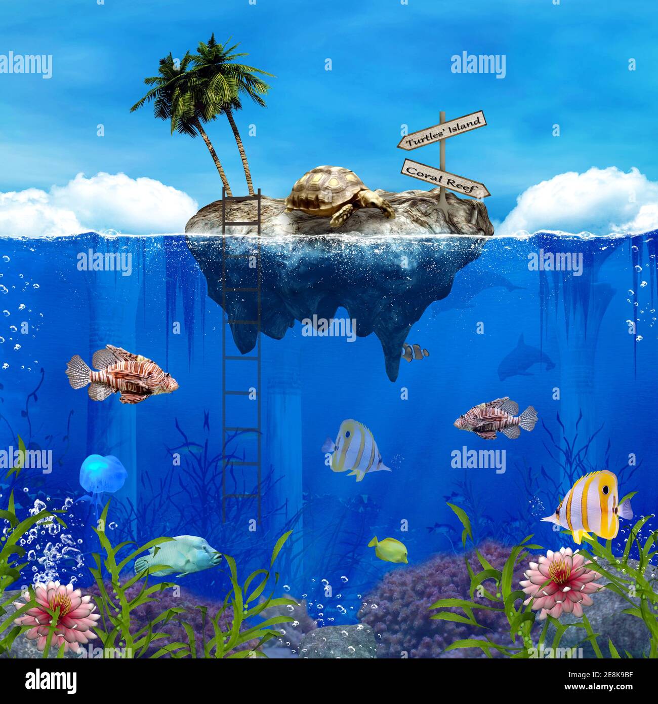 Fantasy turtles island by the coral reef Stock Photo