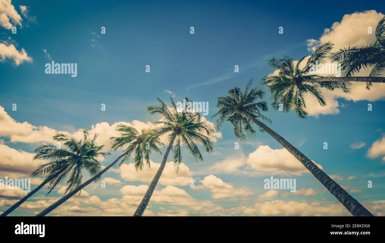 Coconut palm tree on blue sky background with vintage toned Stock Photo ...