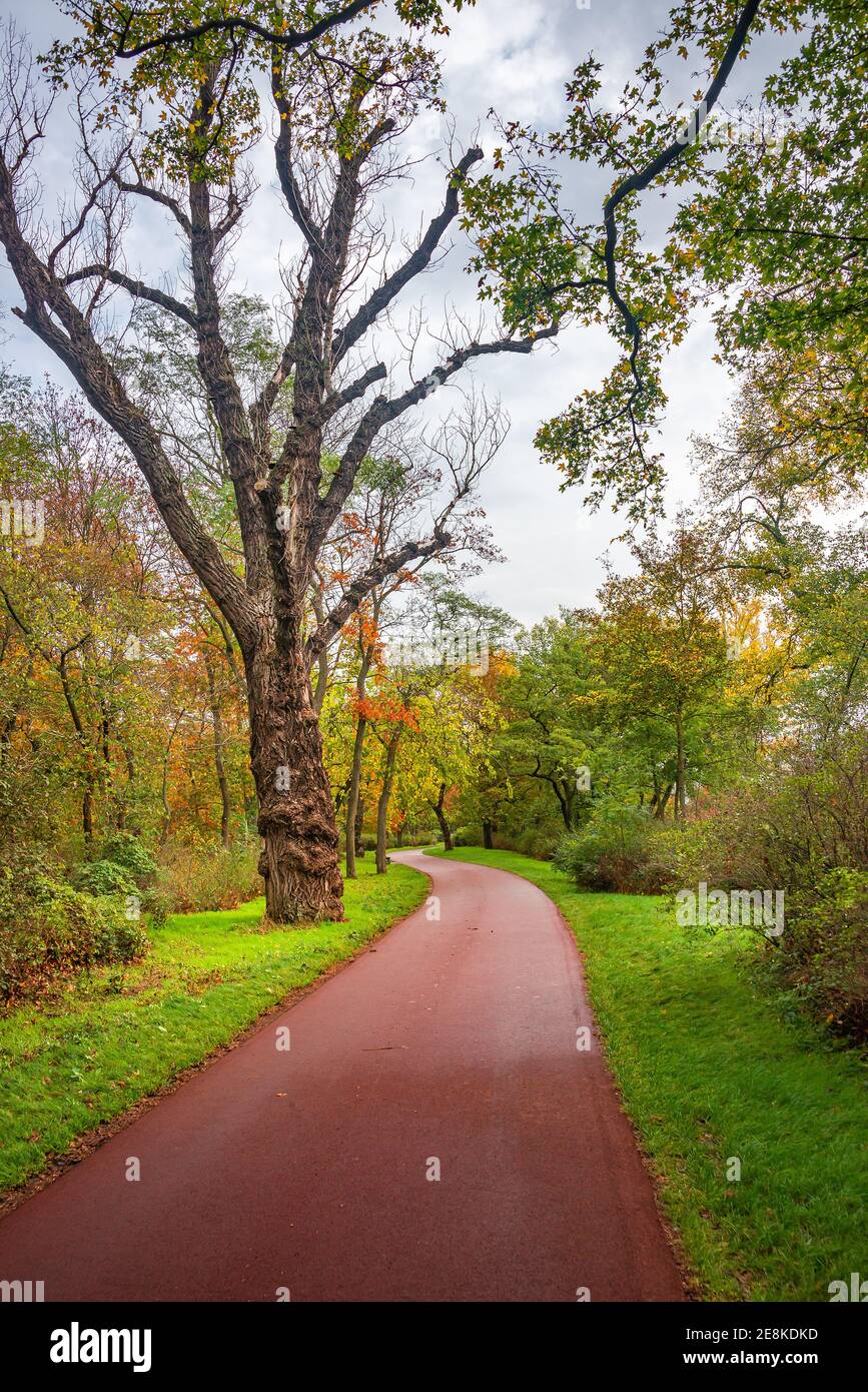 Rainy day activity hi-res stock photography and images - Alamy