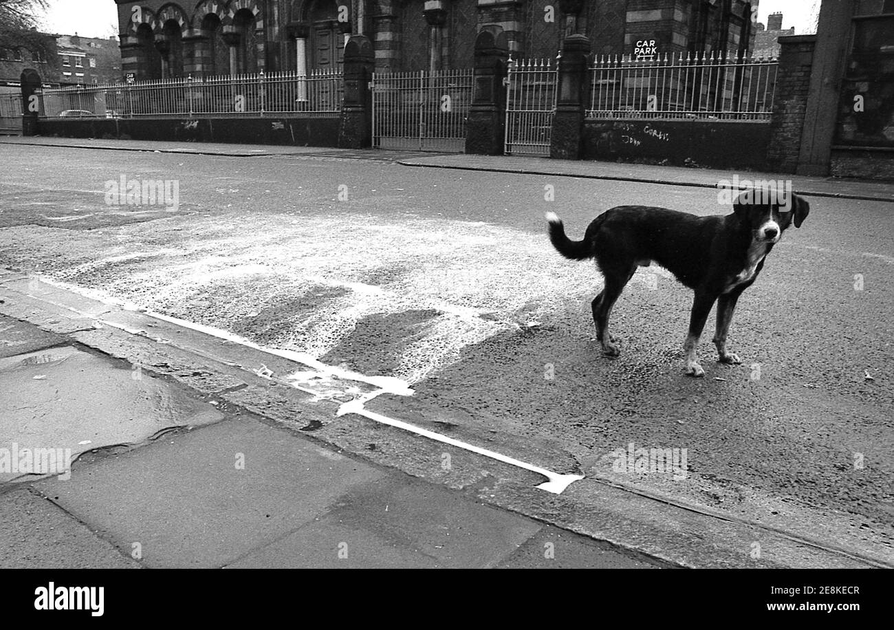 The inner city district of Toxteth Liverpool 8. Images shot for the British Soul Band's The Real Thing album cover 4 from 8 in 1977 Stock Photo