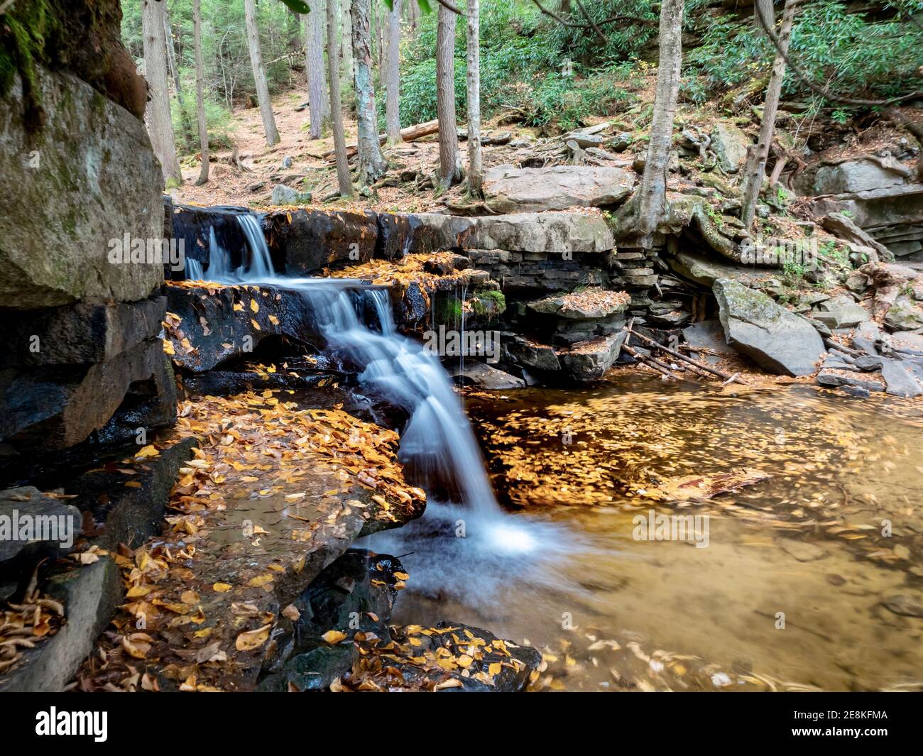 Swallow Falls State Park in the mountains of Maryland in the fall with