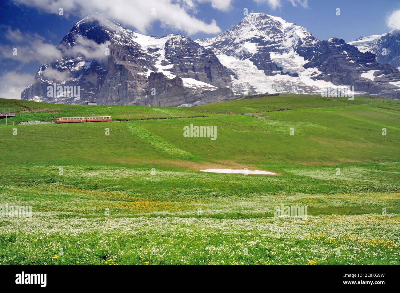 Alpine meadow below the Eiger, Monch and Jungfrau, with a train on the Jungfraubahn railway leaving Kleine Scheidegg. Stock Photo