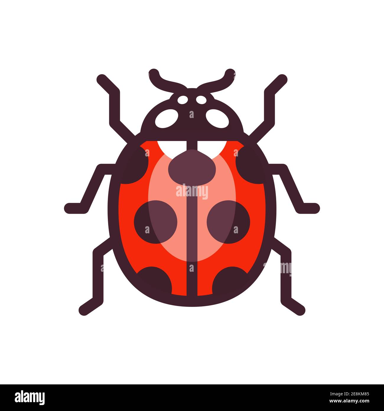 Insect logo hi-res stock photography and images - Alamy