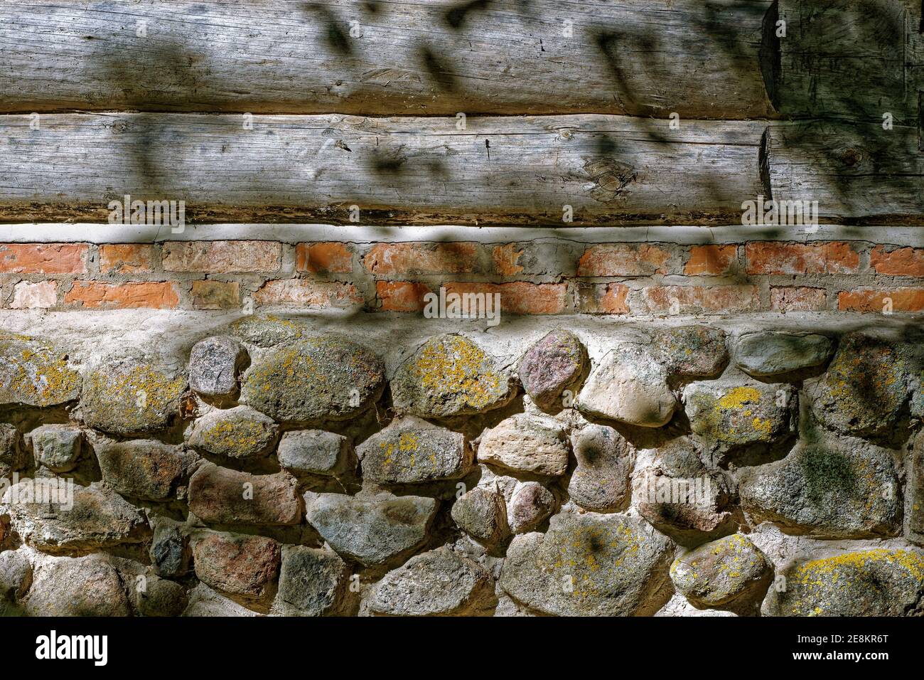 Foundation of the lichen-covered cobblestone of an old log house in the village. Stock Photo