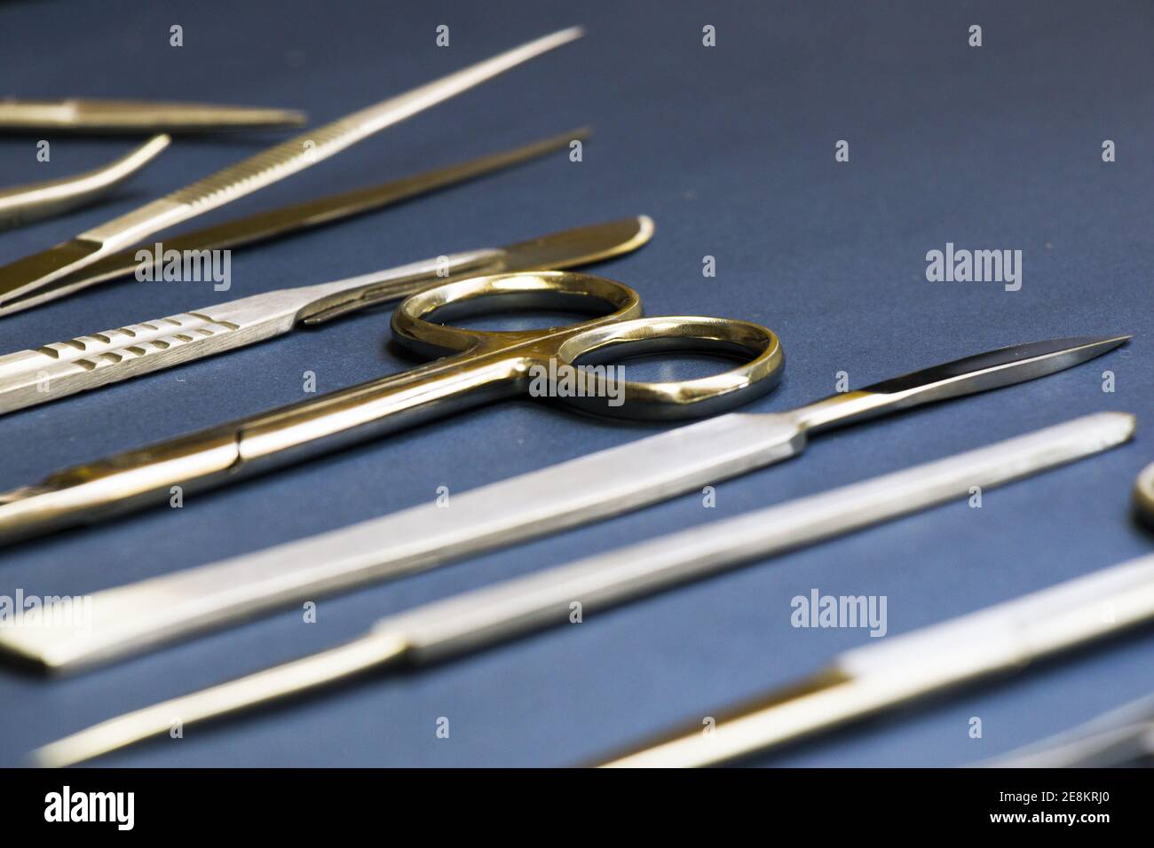 A closeup of a stainless dissection kit on a dark blue surface Stock ...