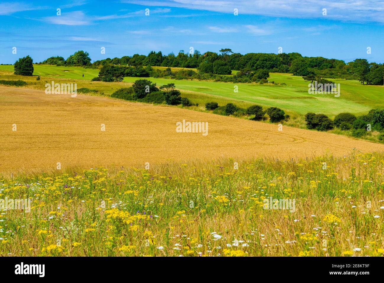 The land of St Margarets bay village with wheat fields and bales of straw,Kent,UK Stock Photo