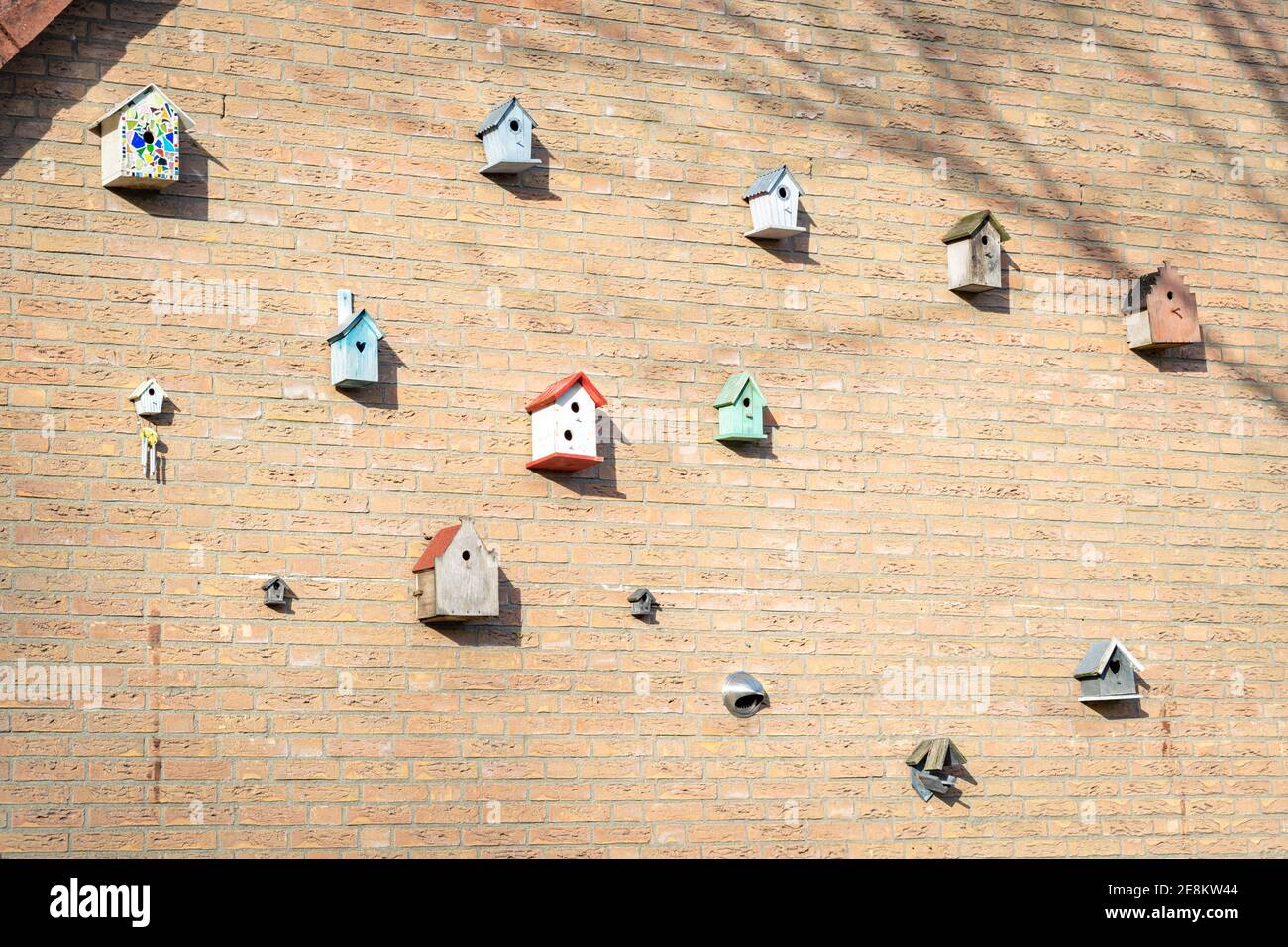 Large number of bird houses on the wall of a house Stock Photo Alamy