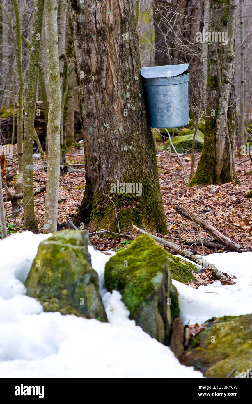 New Hampshire, Canterbury Stock Photo Alamy