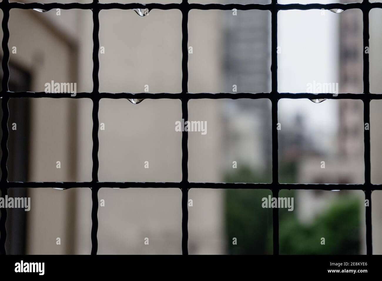 railing with drops of water, rainy day Stock Photo - Alamy