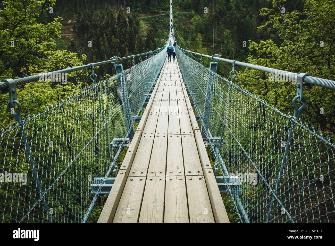 Geierlay Suspension Bridge in Hunsrück Mountain Range. It is the second longest suspension