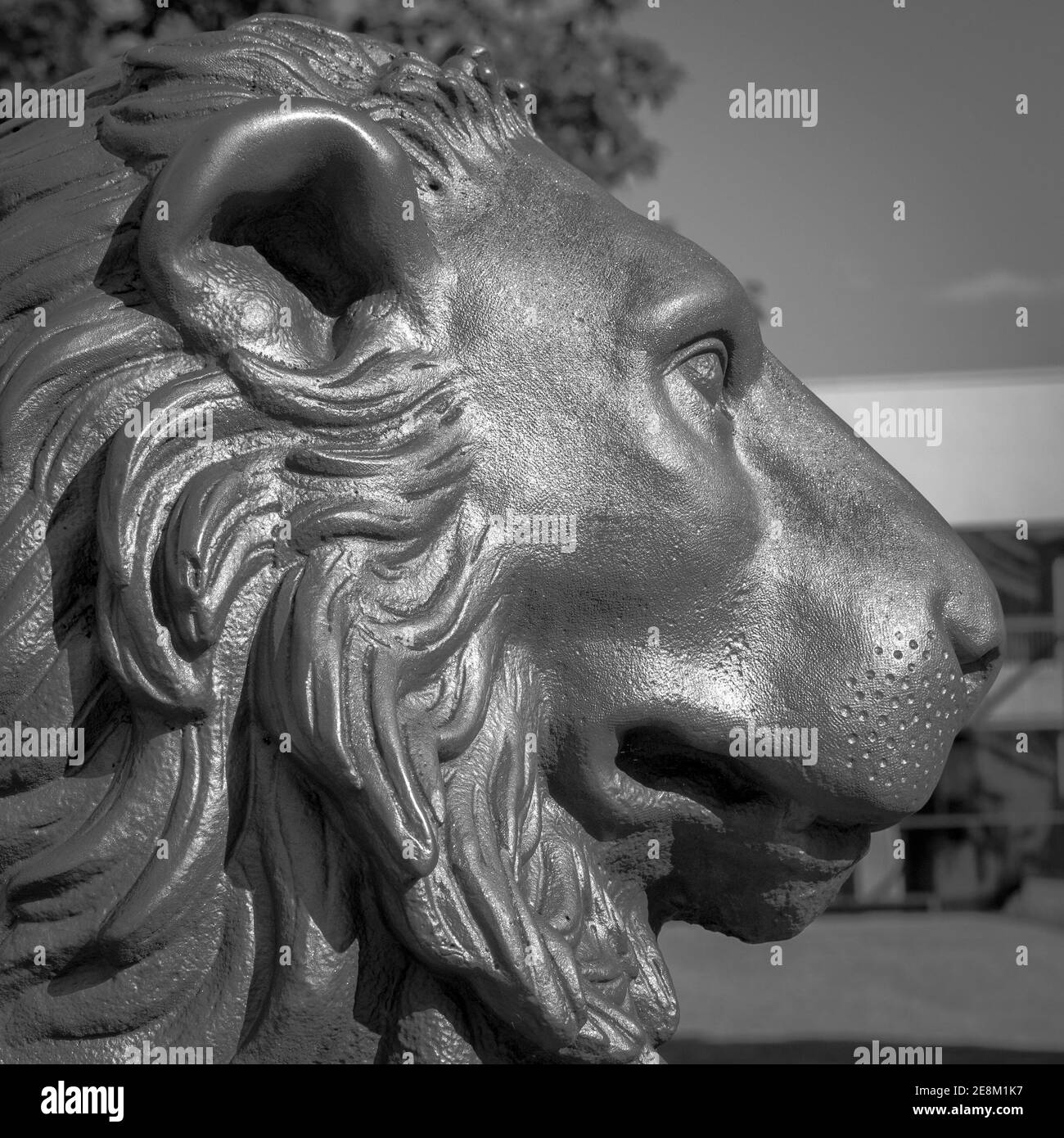 Statue martin luther in wittenberg Black and White Stock Photos