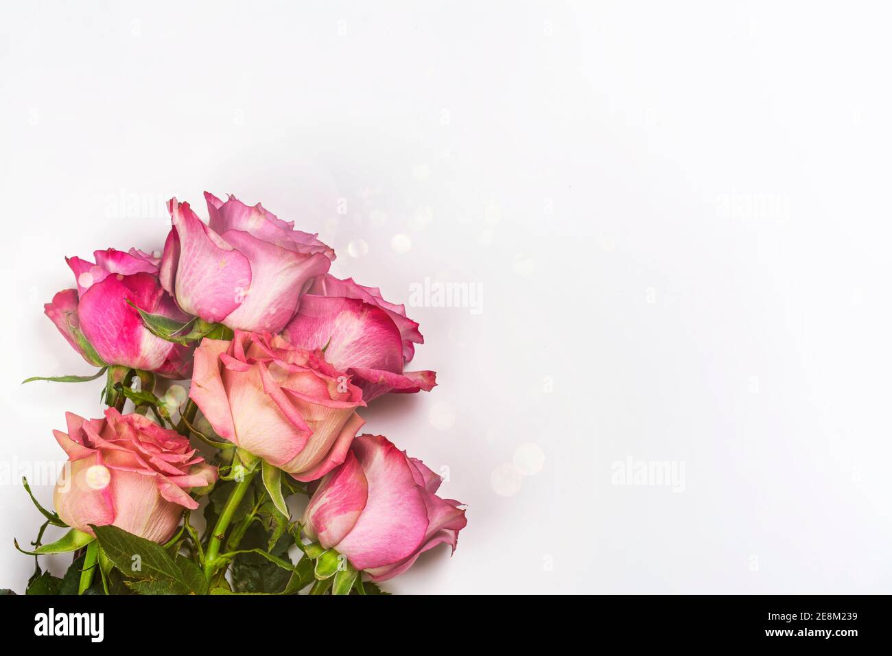 Pink roses background Stock Photo - Alamy