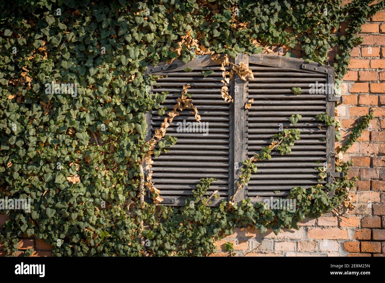 MartinLutherUniversität HalleWittenberg AgilHybrid