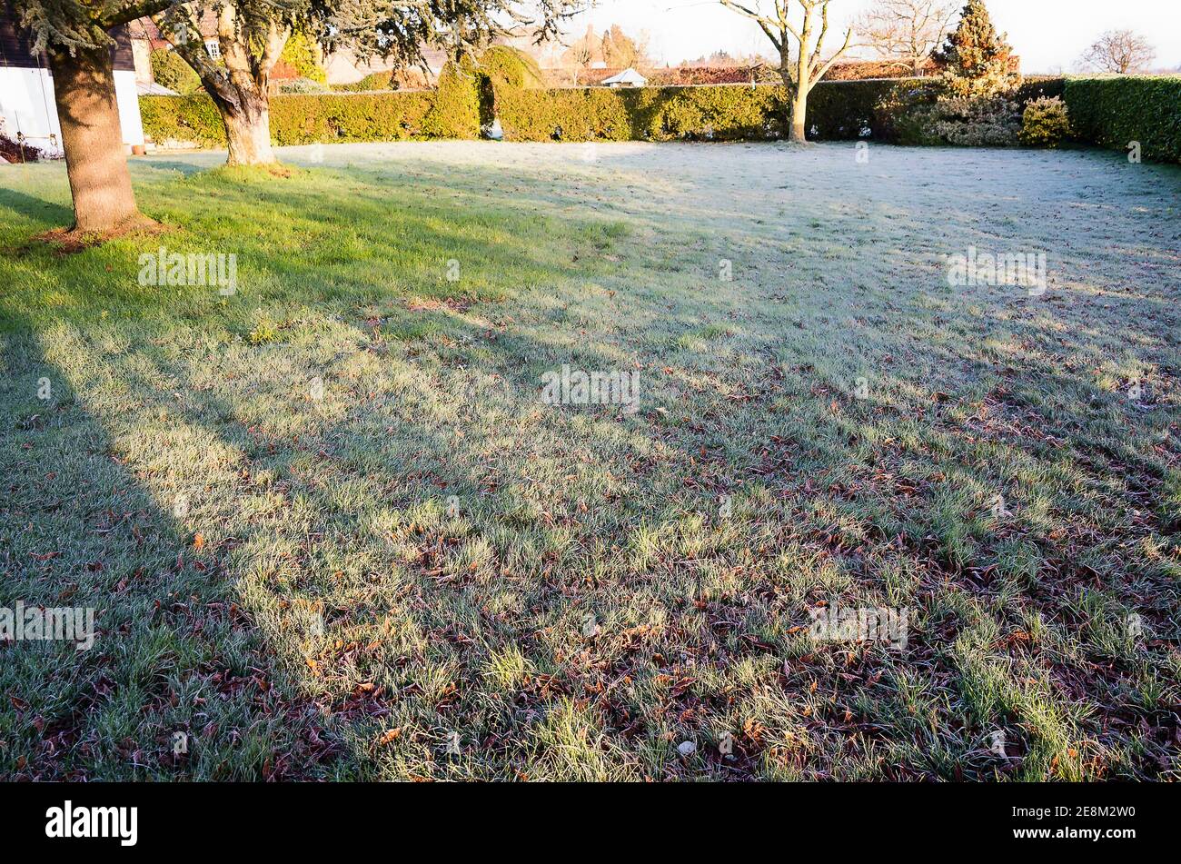 Frost and sunshine and shadows radiating across a grass lawn in winter in UK Stock Photo