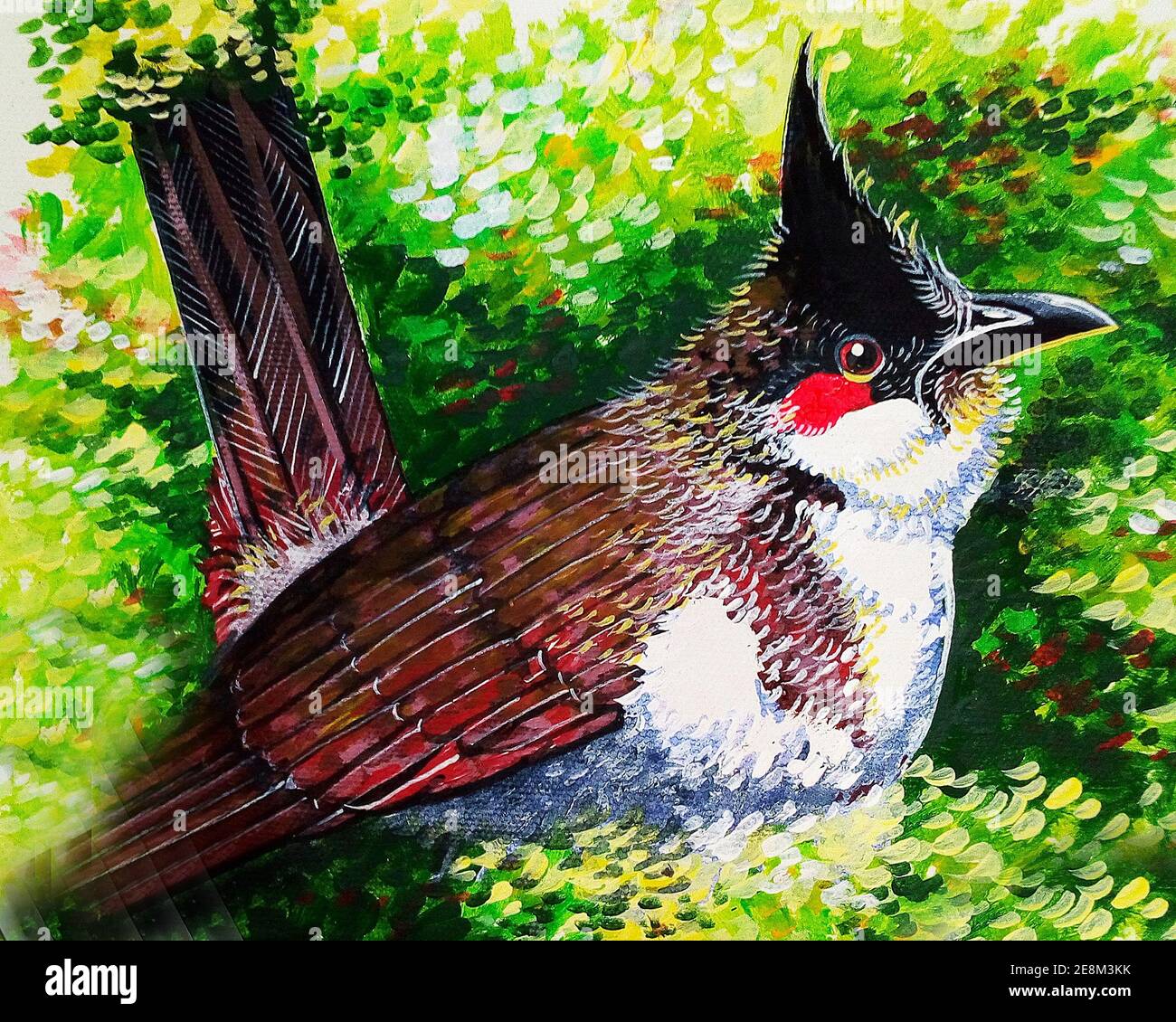 Red-vented Bulbul (Pycnonotus cafer) | Great backyard bird count, Bulbul,  Backyard birds