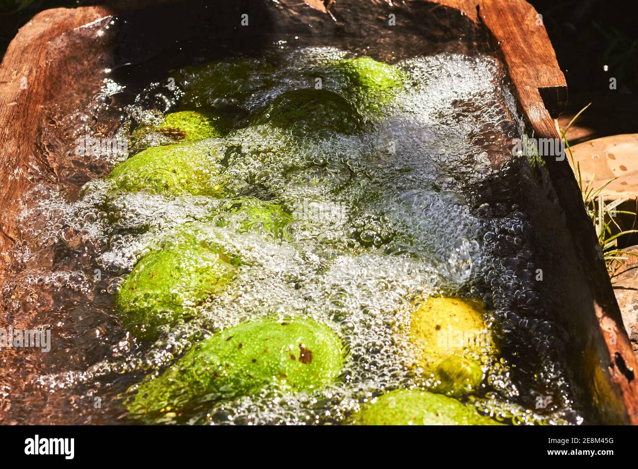 A top view closeup view of green and yellow avocados under pouring
