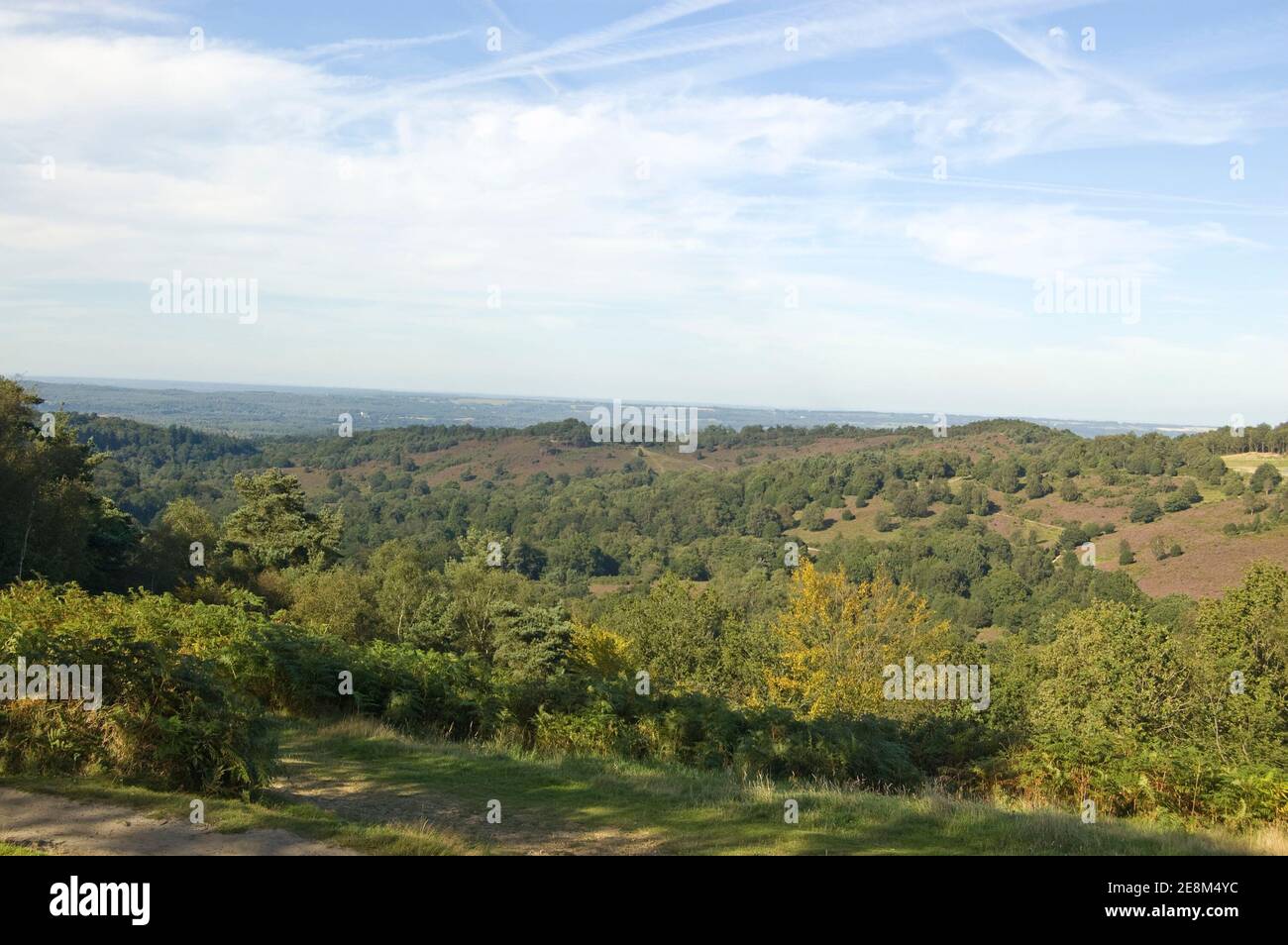View from Hindhead common across the valley known as the Devil's Punchbowl in Surrey. Stock Photo