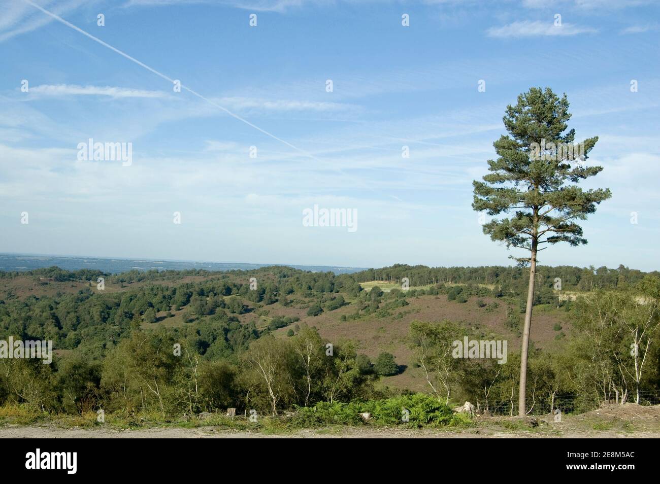 The spectacular valley known as the Devil's Punchbowl at Hindhead, Surrey. Stock Photo