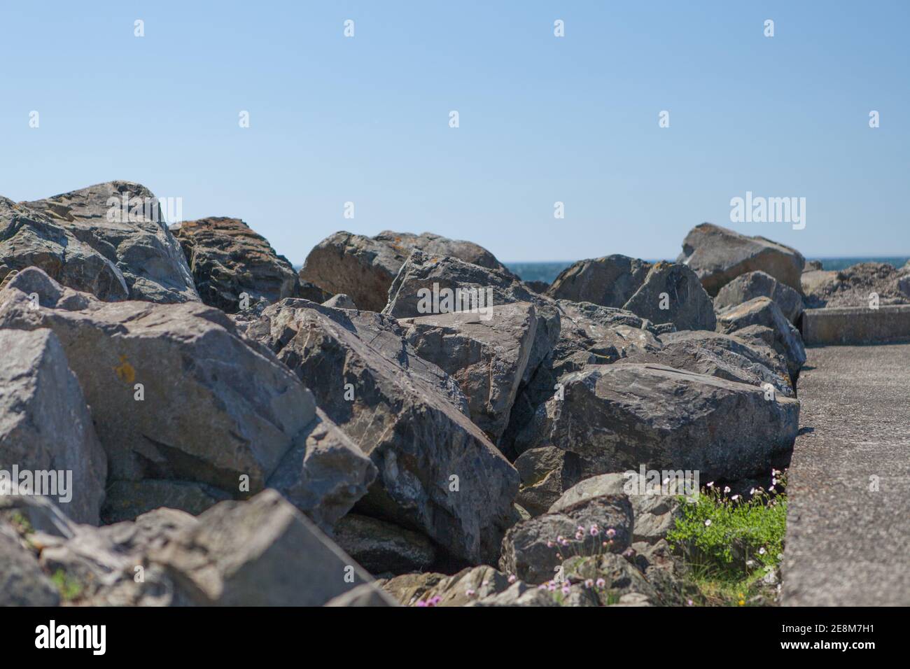 Large rocks plants on hi-res stock photography and images - Alamy