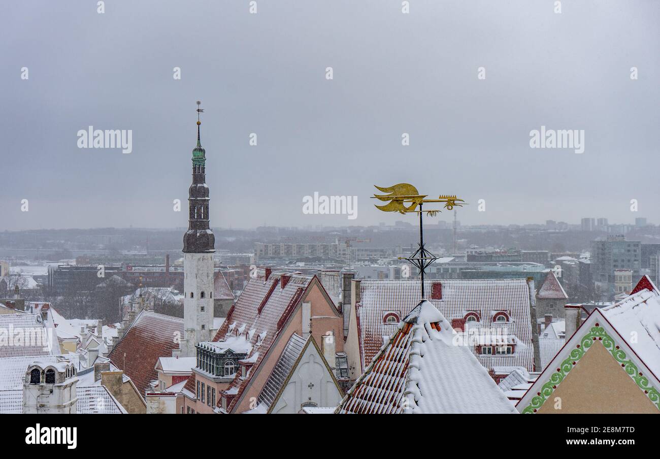Winter old city Tallinn Estonia Stock Photo